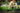 Landscaper Starter Kit — 10-Piece Bundle